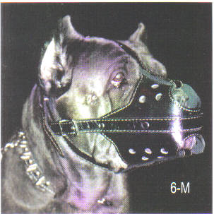 Leather Dog Muzzles APPROXIMATE FITTINGS: SIZE 3 CHOW CHOW: SIZE 4 PIT BULL: SIZE 5 GERMAN SHEPHERD: SIZE 6 ROTTWEILER.