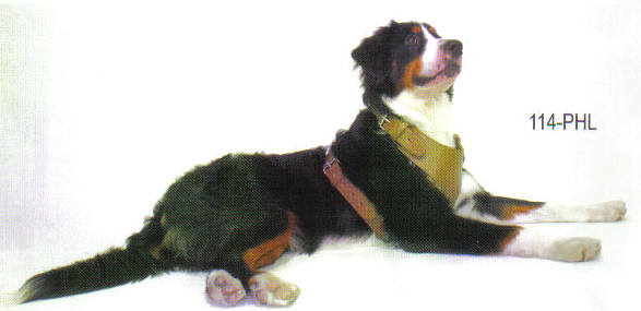 Plain Leather Dog Harnesses By Top Dog
