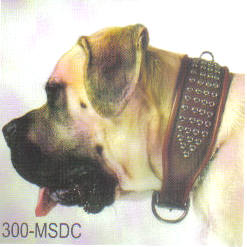 Studded Round Edge (1 Tone) Leather Collar Size 3